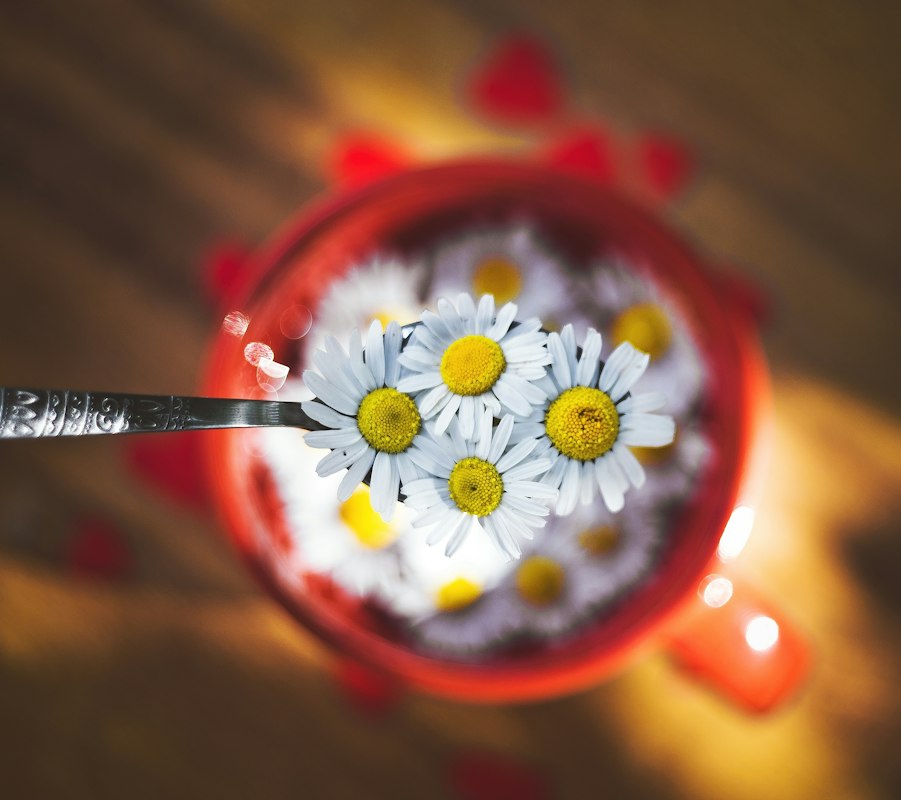 Chamomile tea preparation